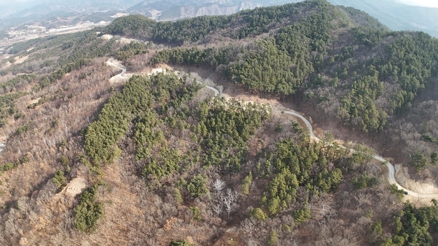 금산군 부리면 현내리~예미리 간선임도 준공…산림재해 대응