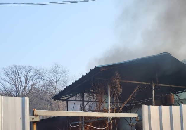 김포 돼지 축사서 불…100마리 폐사