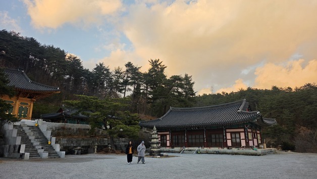 "산사에서 명상부터 도파민 디톡스까지"…'겨울 특별 템플스테이'