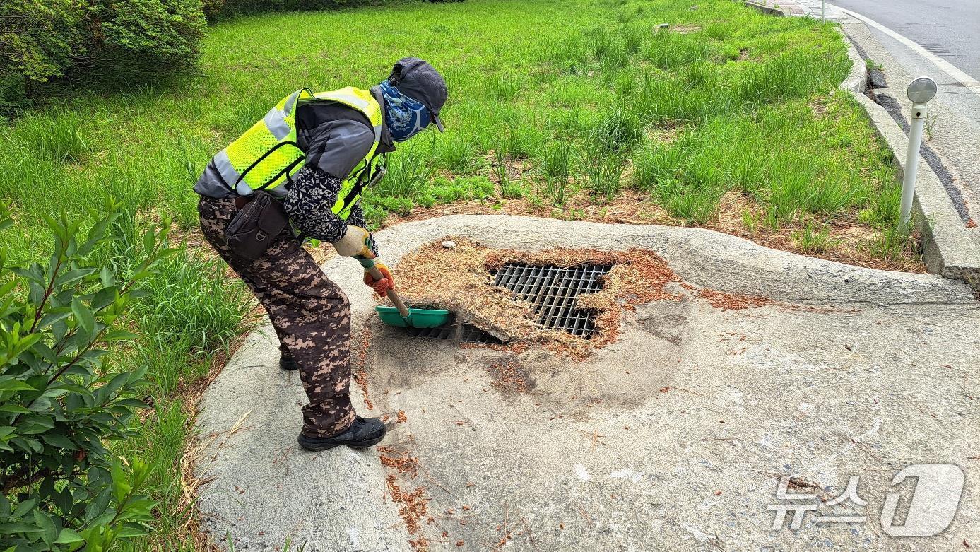 본문 이미지 - 강원 동해시 현장대응 기동처리반.(동해시 제공, 재판매 및 DB 금지) 2025.12.29/뉴스1