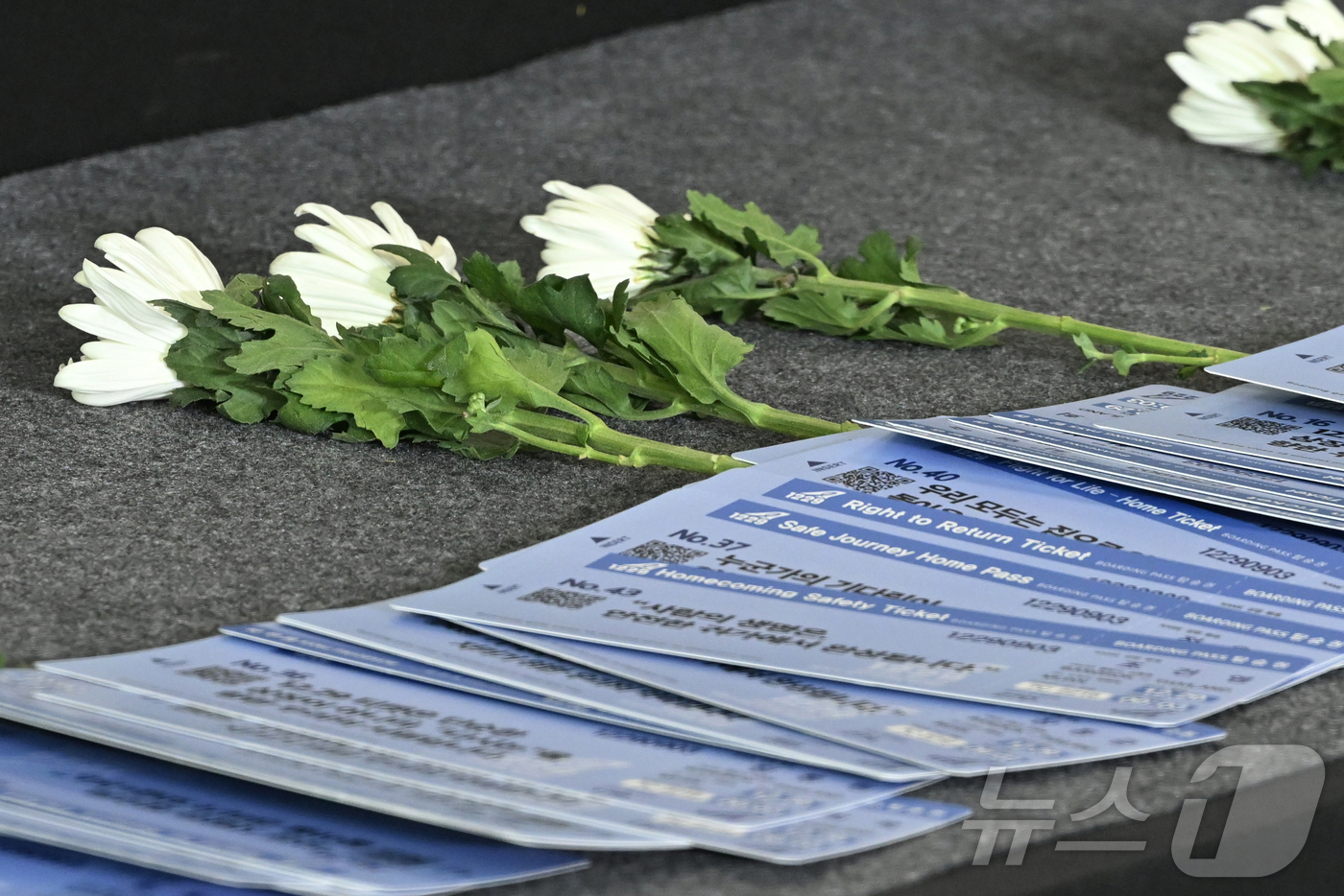 (무안=뉴스1) 사진공동취재단 = 29일 오전 전남 무안국제공항에서 거행된 12·29 제주항공 참사 추모식의 제단 위로 참사 재발 방지를 염원하는 유가족들의 바람이 담긴 보딩패스 …