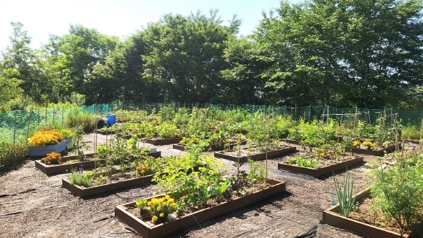 전주완산중 평화텃밭, '생활원예 치유농업 중앙경진대회' 우수상
