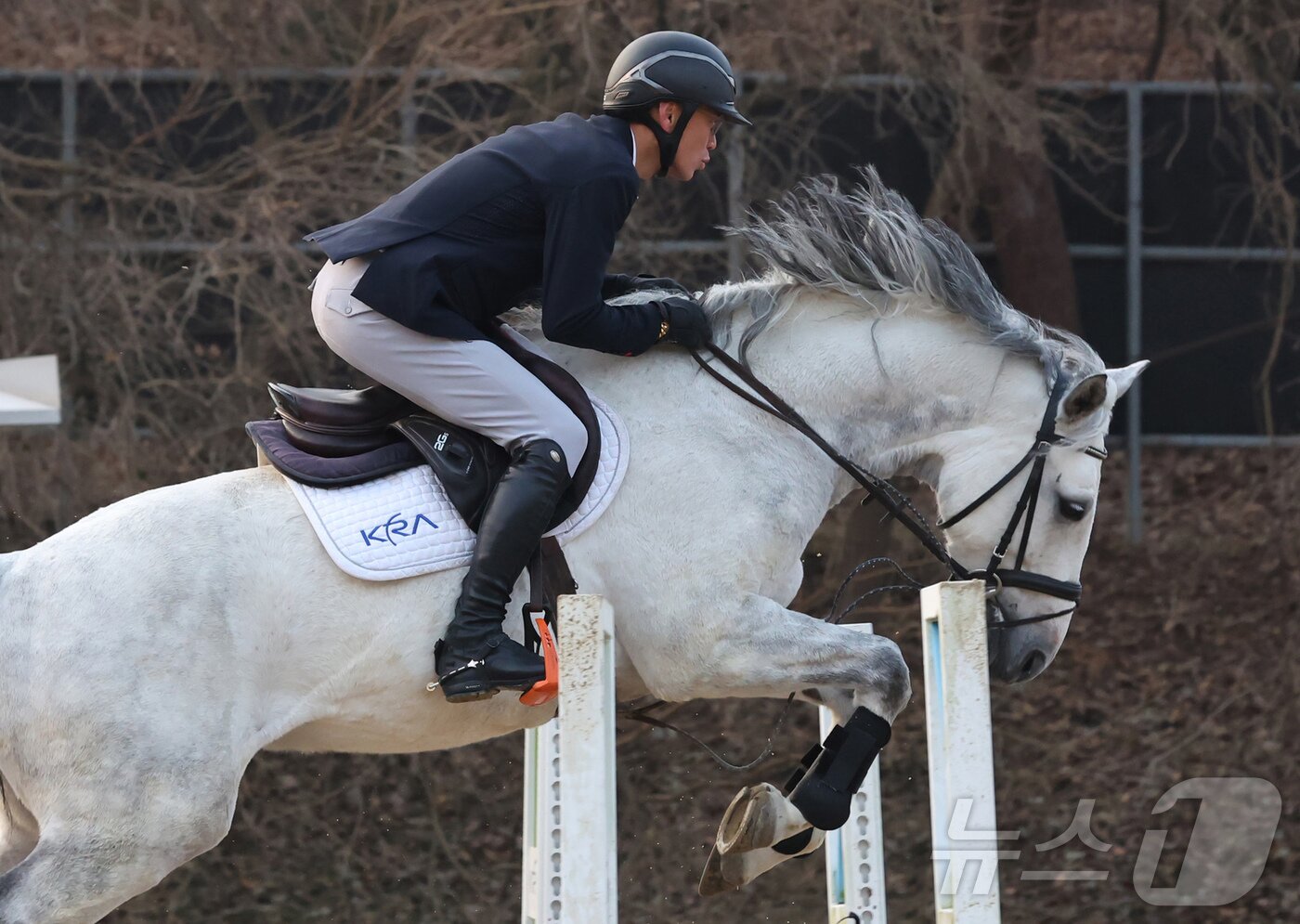 본문 이미지 - 2026년 희망찬 병오년(丙午年) 붉은 말의 해가 다가왔다. 지난 10일 경기 고양시 원당종마목장에서 한국마사회 승마단 류시원 선수가 말과 함께 힘찬 도약을 펼치고 있다.  2025.12.31/뉴스1 ⓒ News1 장수영 기자