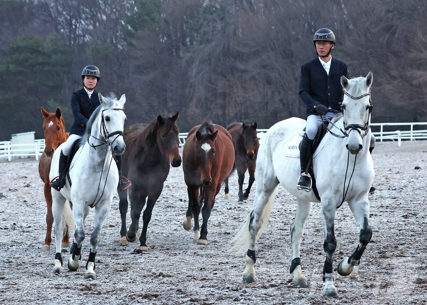 본문 이미지 - 2026년 희망찬 병오년(丙午年) 붉은 말의 해가 다가왔다. 지난 10일 경기 고양시 원당종마목장에서 한국마사회 승마단 류시원, 방시레 선수가 말과 함께 목장을 돌고 있다. 2025.12.31/뉴스1 ⓒ News1 장수영 기자