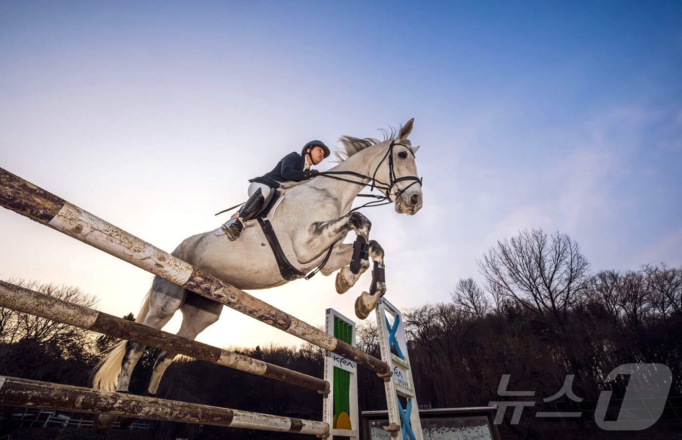 본문 이미지 - 2026년 희망찬 병오년(丙午年) 붉은 말의 해가 다가왔다. 지난 10일 경기 고양시 원당종마목장에서 한국마사회 승마단 방시레 선수가 말과 함께 힘찬 도약을 펼치고 있다.  (공동취재) 2025.12.31/뉴스1 ⓒ News1 장수영 기자