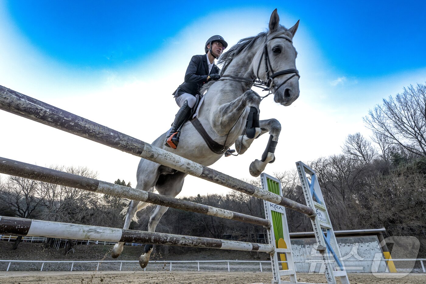 본문 이미지 - 2026년 희망찬 병오년(丙午年) 붉은 말의 해가 다가왔다. 지난 10일 경기 고양시 원당종마목장에서 한국마사회 승마단 류시원 선수가 말과 함께 힘찬 도약을 펼치고 있다.  (공동취재) 2025.12.31/뉴스1 ⓒ News1 장수영 기자