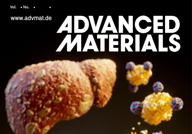 "지방간 부작용 없이 녹인다"…KIST·한양대, 치료제 개발