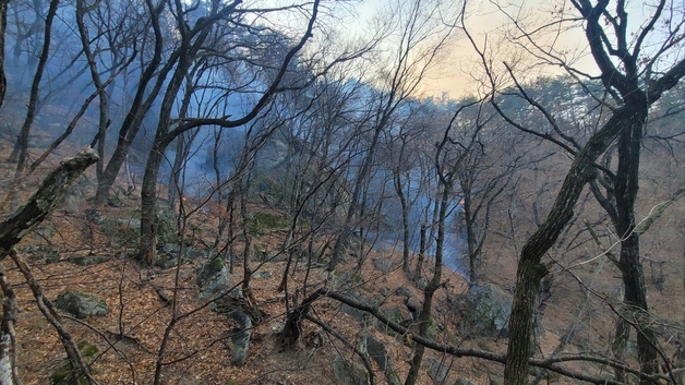 강릉 연곡면 신왕리서 산불…헬기 투입 2시간17분만에 진화(종합)