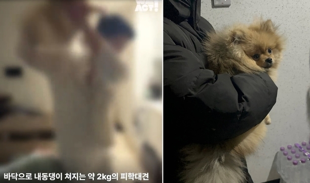 "학대자에게 동물 돌려보내면 안 돼"…사육금지제 도입 속도낸다