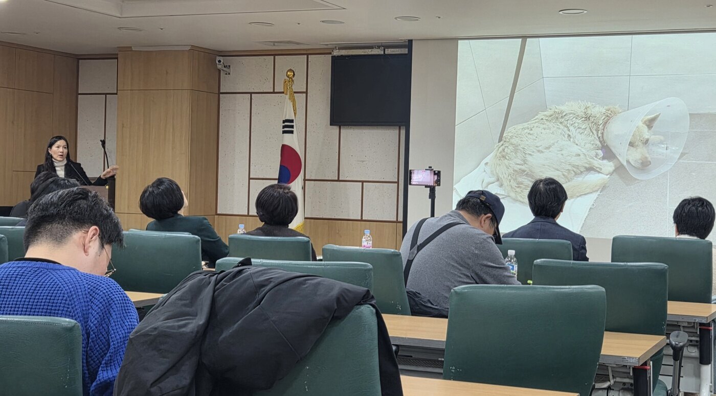본문 이미지 - 29일 이형주 동물복지문제연구소 어웨어 대표가 동물학대자 사육금지제도 도입을 위한 국회토론회에서 방치 학대로 사망한 초롱이의 사례를 설명하고 있다. ⓒ 뉴스1 한송아 기자