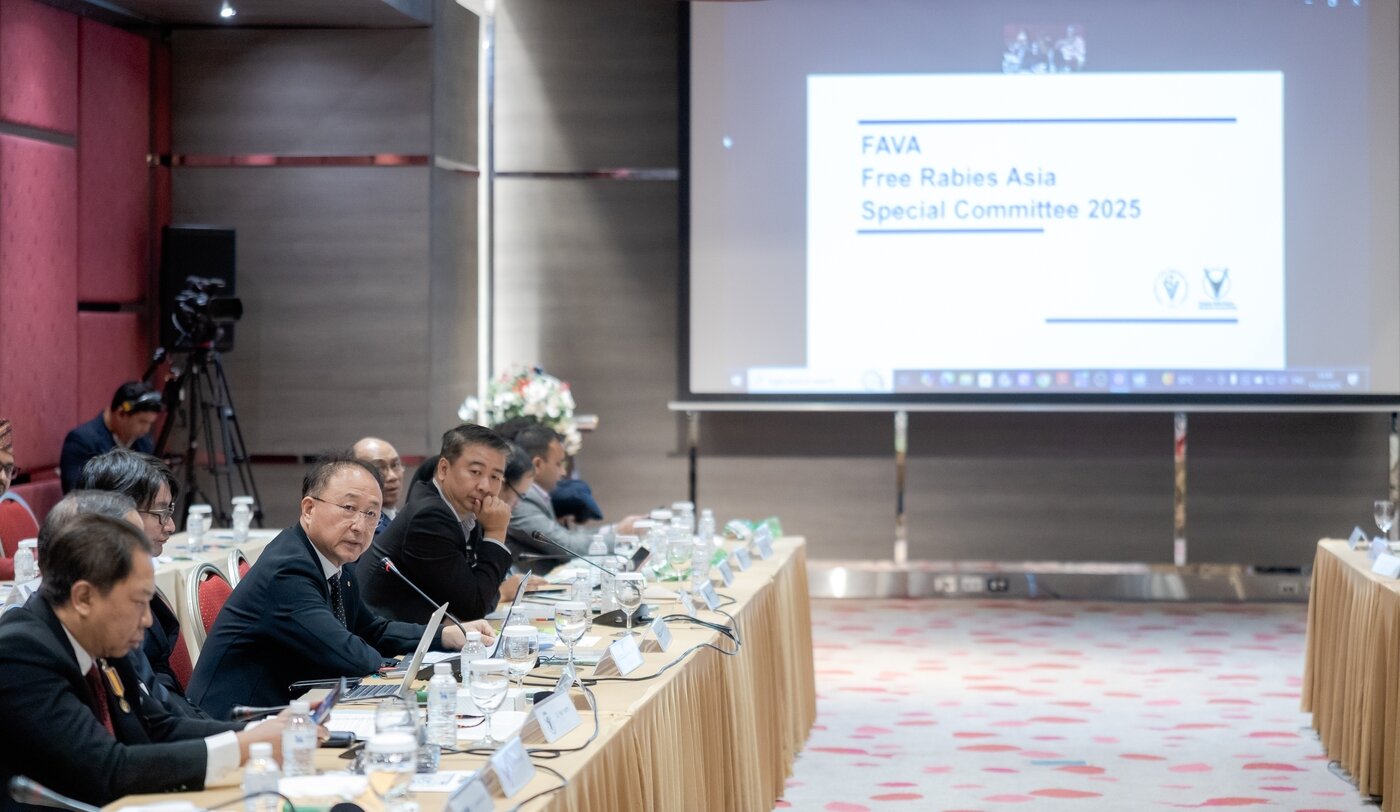 본문 이미지 - 정인성 아시아광견병청정화특별위원회 위원장이 최근 태국에서 열린 제2차 회의에 참석해 발언하고 있다(FRASC 제공). ⓒ 뉴스1