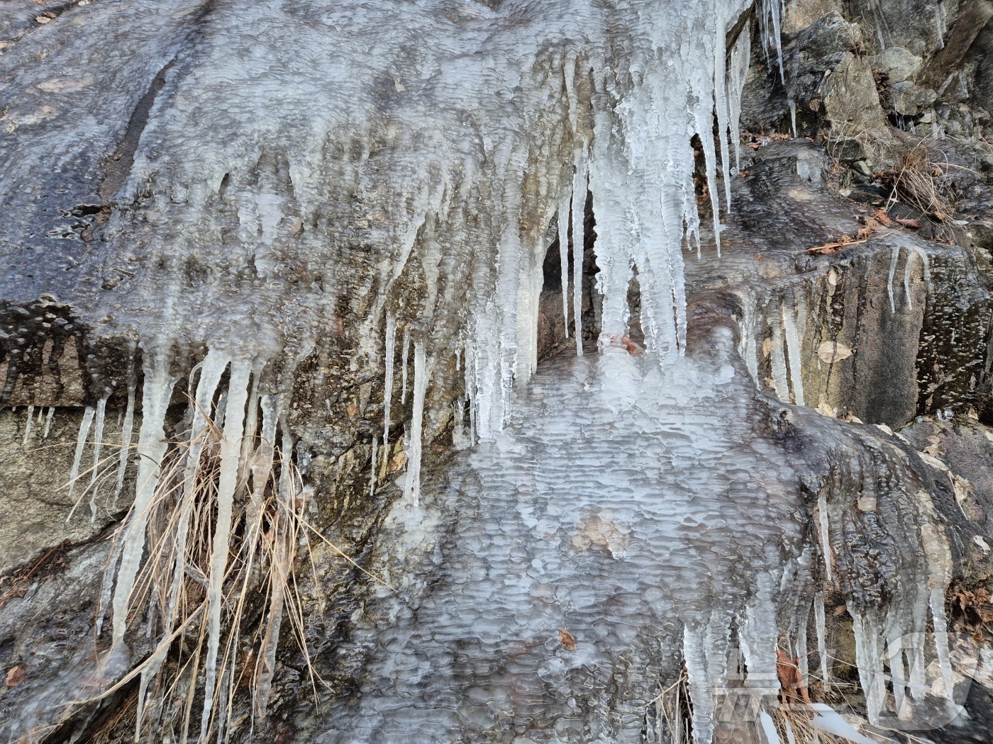 (강릉=뉴스1) 윤왕근 기자 = 강원 대부분 지역에 한파특보가 발효 중인 3일 아침 최저기온이 -13.2도까지 떨어진 대관령 구 도로변에 고드름이 길게 달려있다. 강원지방기상청에 …