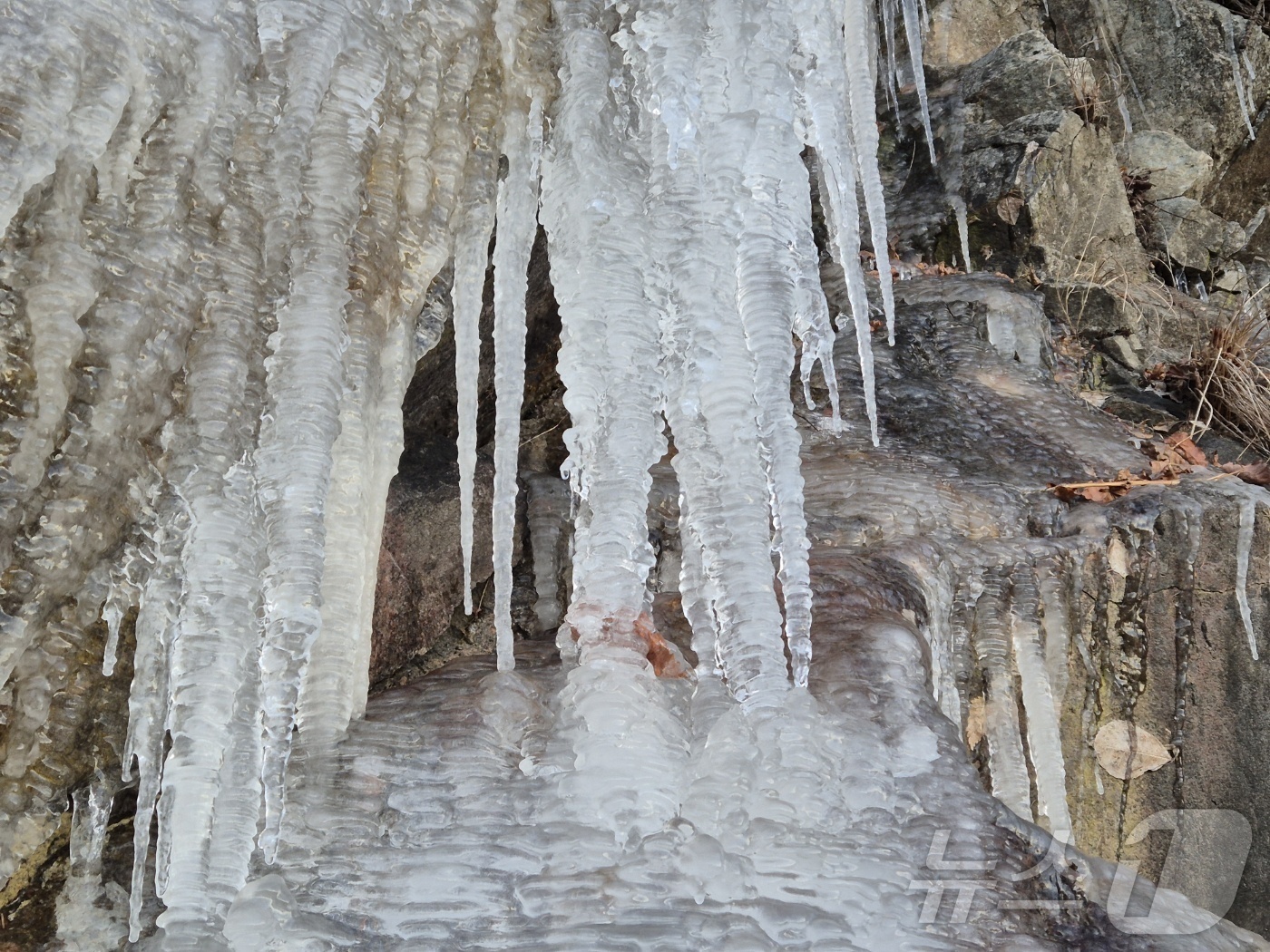 (강릉=뉴스1) 윤왕근 기자 = 강원 대부분 지역에 한파특보가 발효 중인 3일 오전 아침 최저기온이 -13.2도까지 떨어진 대관령 구 도로변에 고드름이 길게 달려있다. 강원지방기상 …