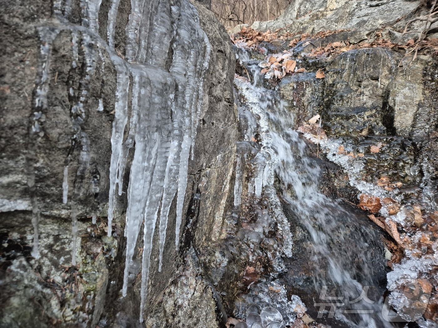 (강릉=뉴스1) 윤왕근 기자 = 강원 대부분 지역에 한파특보가 발효 중인 3일 오전 아침 최저기온이 -13.2도까지 떨어진 대관령 구 도로변에 고드름이 길게 달려있다. 강원지방기상 …