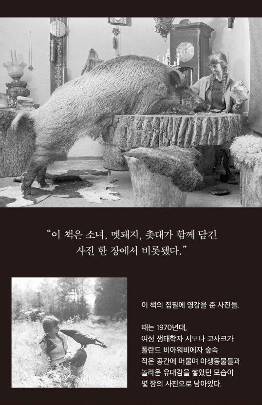 본문 이미지 - 야생의 존재 &#40;가지 제공&#41;