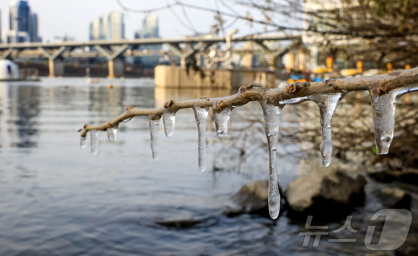 (서울=뉴스1) 김진환 기자 = 서울 지역 아침 최저 기온이 영하 8도까지 떨어지면서 한파가 몰아닥친 3일 서울 광진구 뚝섬한강공원 인근에 고드름이 얼어있다. 2025.12.3/뉴 …