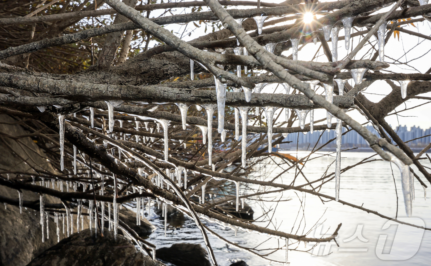 (서울=뉴스1) 김진환 기자 = 서울 지역 아침 최저 기온이 영하 8도까지 떨어지면서 한파가 몰아닥친 3일 서울 광진구 뚝섬한강공원 인근에 고드름이 얼어있다. 2025.12.3/뉴 …