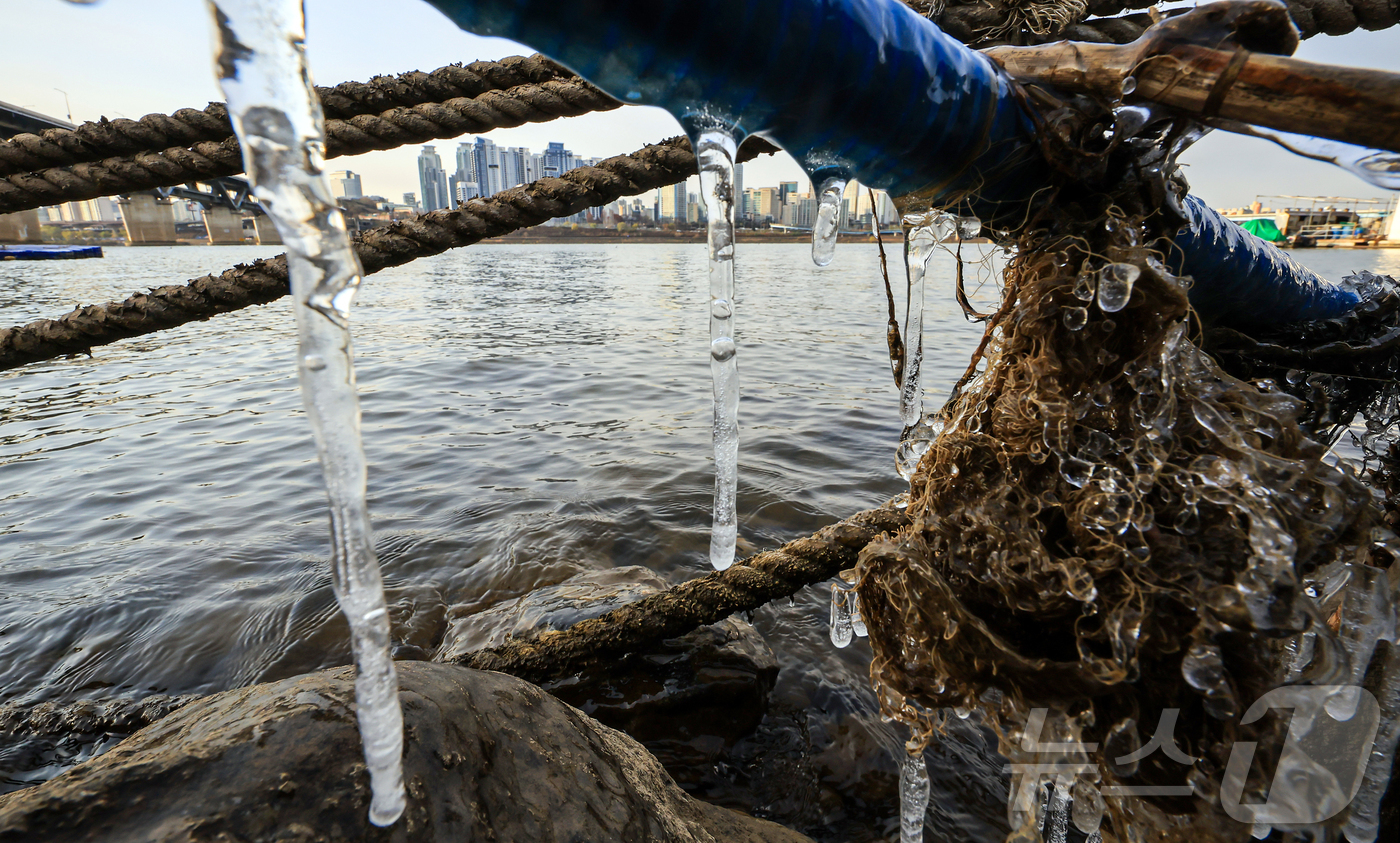 (서울=뉴스1) 김진환 기자 = 서울 지역 아침 최저 기온이 영하 8도까지 떨어지면서 한파가 몰아닥친 3일 서울 광진구 뚝섬한강공원 인근에 고드름이 얼어있다. 2025.12.3/뉴 …