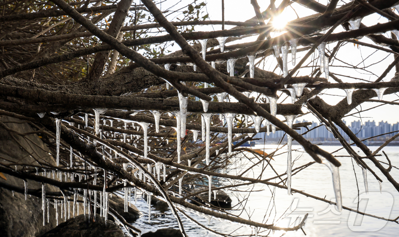 (서울=뉴스1) 김진환 기자 = 서울 지역 아침 최저 기온이 영하 8도까지 떨어지면서 한파가 몰아닥친 3일 서울 광진구 뚝섬한강공원 인근에 고드름이 얼어있다. 2025.12.3/뉴 …