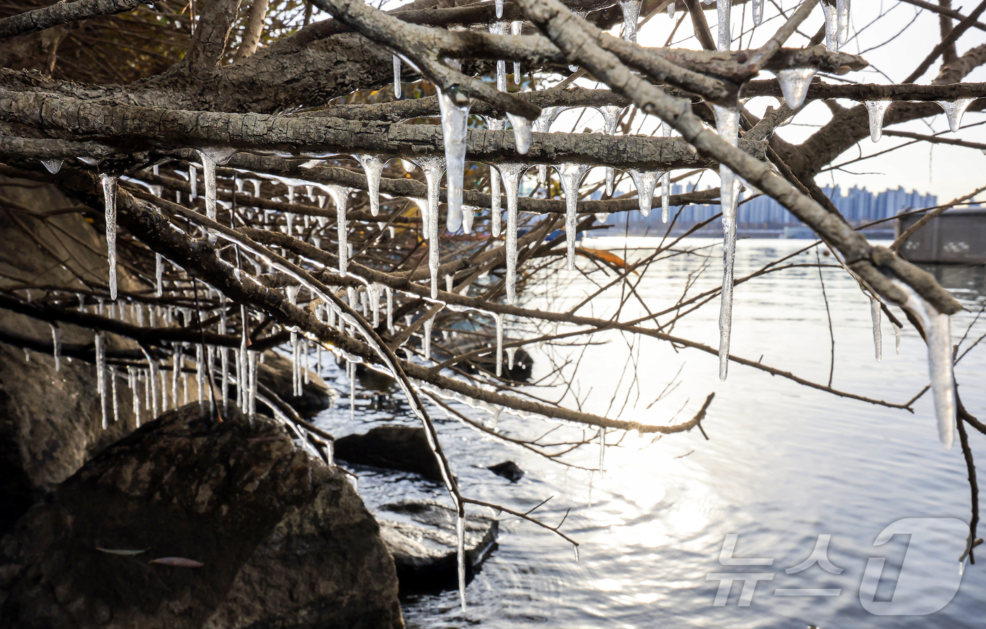 (서울=뉴스1) 김진환 기자 = 서울 지역 아침 최저 기온이 영하 8도까지 떨어지면서 한파가 몰아닥친 3일 서울 광진구 뚝섬한강공원 인근에 고드름이 얼어있다. 2025.12.3/뉴 …
