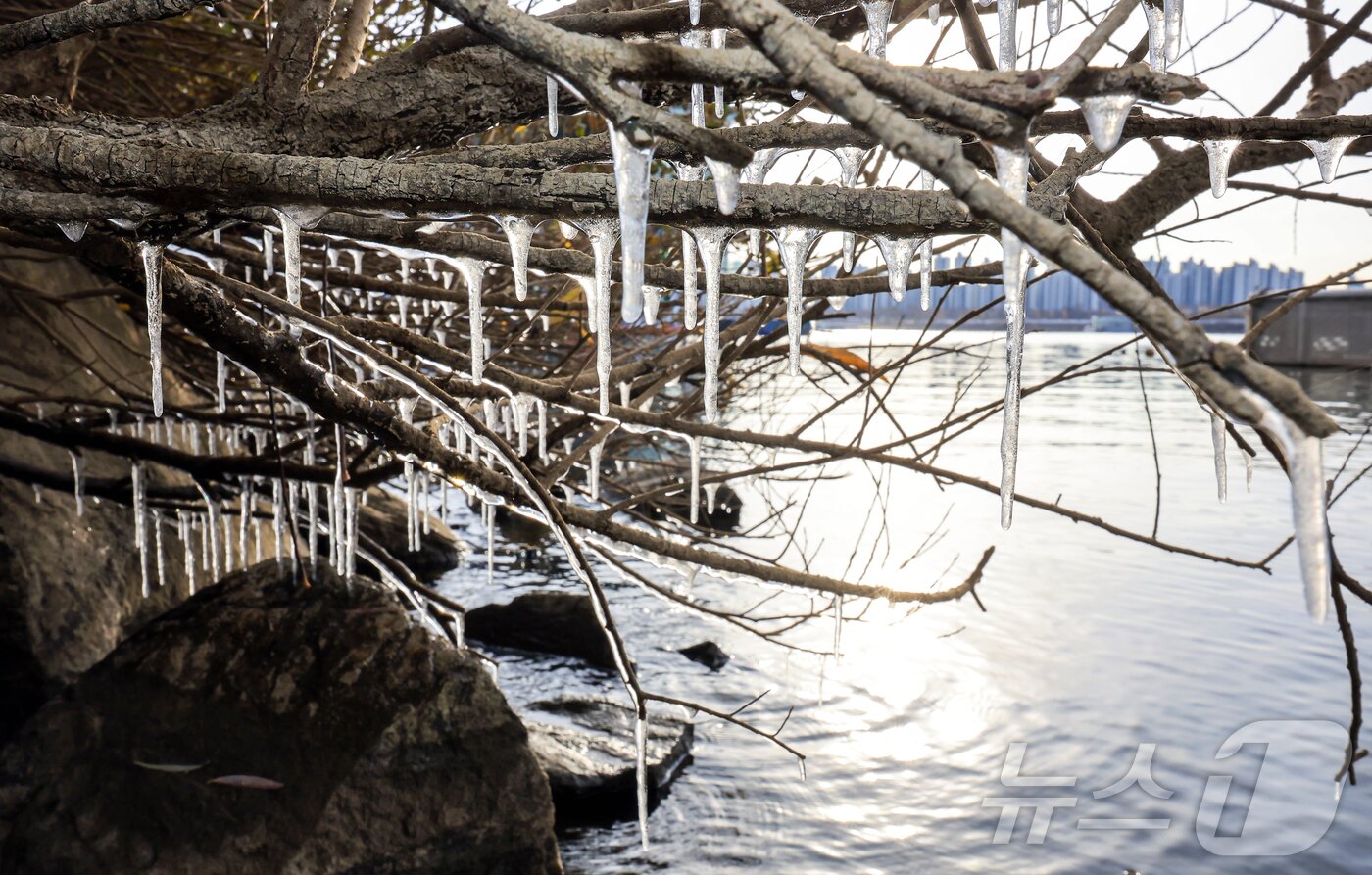 본문 이미지 - 서울 지역 아침 최저 기온이 영하 8도까지 떨어지면서 한파가 몰아닥친 3일 서울 광진구 뚝섬한강공원 인근에 고드름이 얼어있다. 2025.12.3/뉴스1 ⓒ News1 김진환 기자