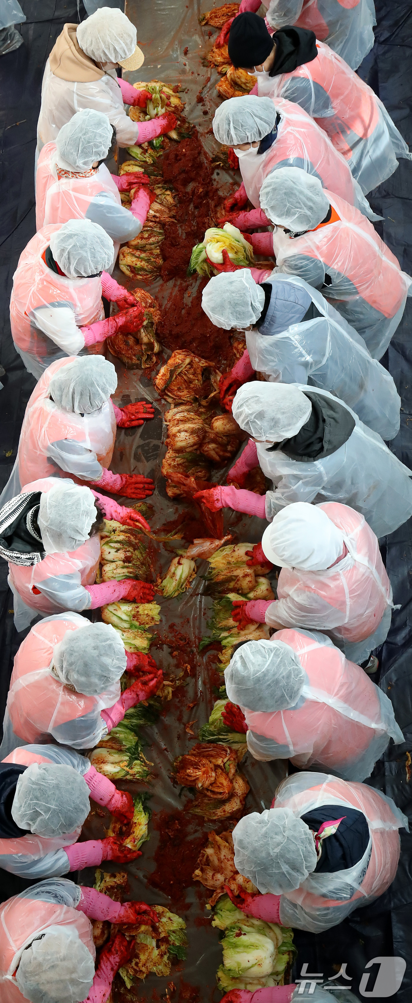 (대구=뉴스1) 공정식 기자 = 3일 오전 대구 서구문화회관에서 열린 사랑의 김장 나눔 행사에서 서구여성단체협의회 등 봉사자들이 김장김치 양념을 버무리고 있다.이날 담근 김장김치는 …