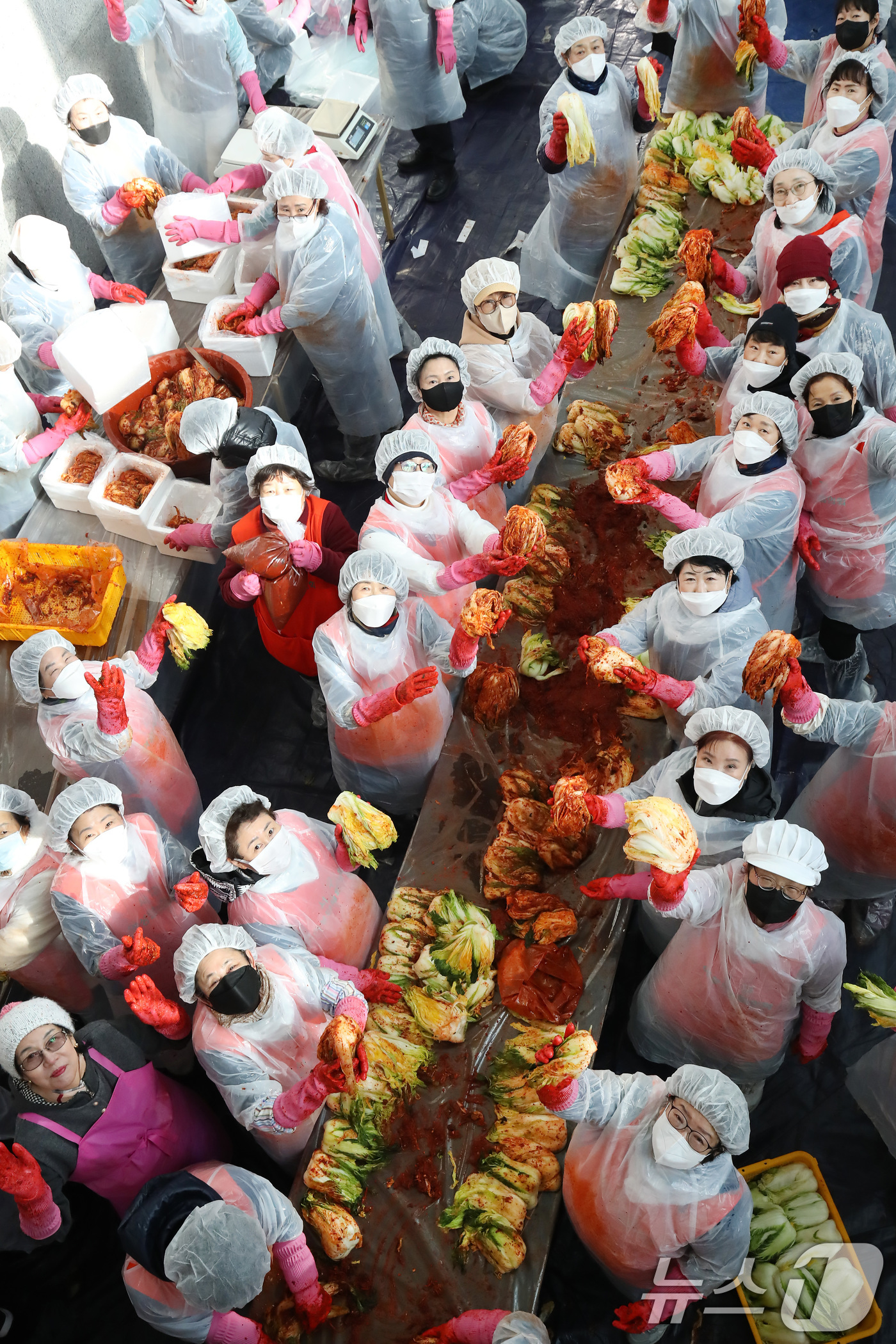 (대구=뉴스1) 공정식 기자 = 3일 오전 대구 서구문화회관에서 열린 사랑의 김장 나눔 행사에서 서구여성단체협의회 등 봉사자들이 김장김치 양념을 버무리고 있다.이날 담근 김장김치는 …
