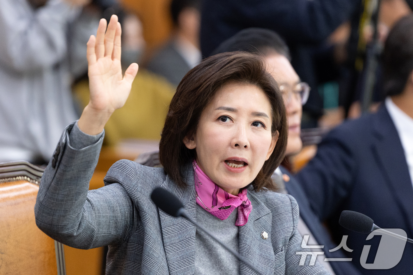 (서울=뉴스1) 이승배 기자 = 3일 서울 여의도 국회에서 열린 제429회국회(정기회) 법제사법위원회 제16차 전체회의에서 나경원 국민의힘 의원이 의사진행 발언권을 신청하고 있다. …