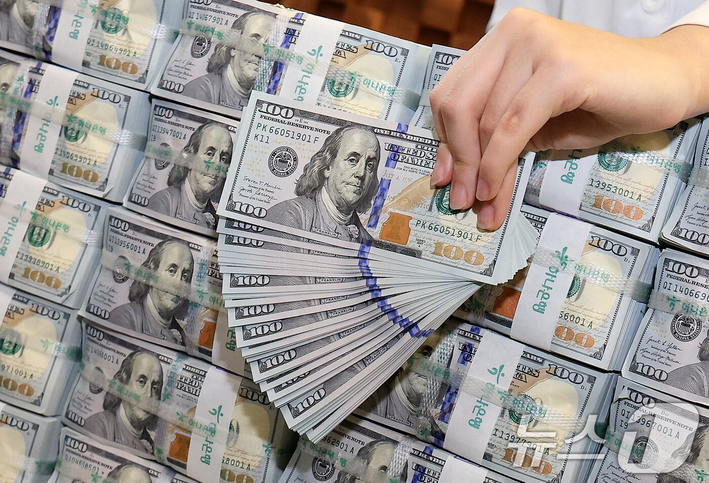 본문 이미지 - 서울 중구 하나은행 위변조대응센터에서 은행 관계자가 달러화를 정리하는 모습. 2025.12.3/뉴스1 ⓒ News1 이호윤 기자