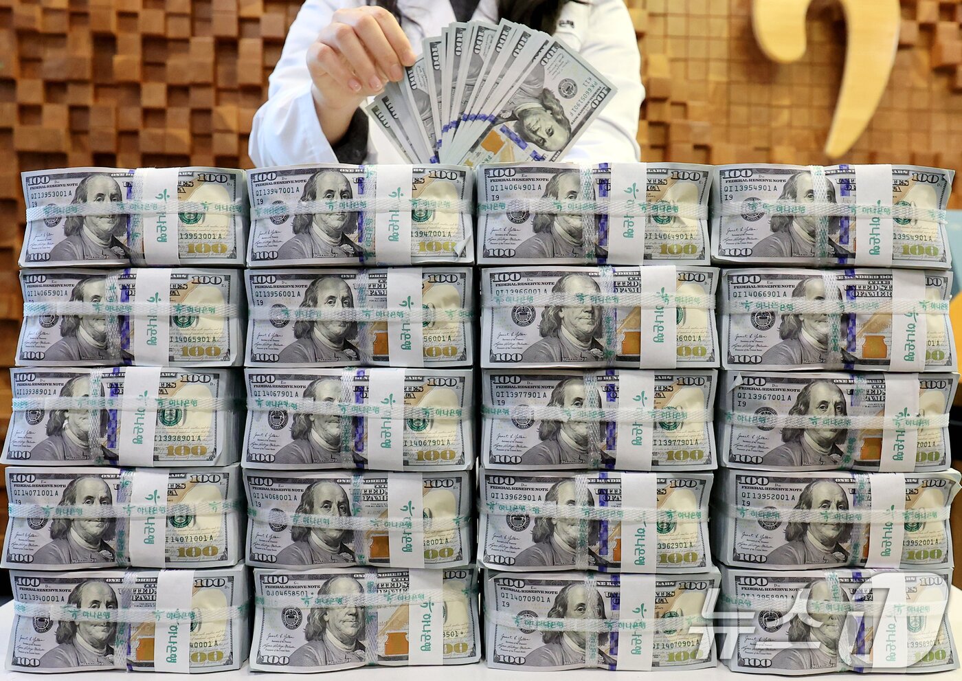 본문 이미지 - 서울 중구 하나은행 위변조대응센터에서 은행 관계자가 달러화를 정리하는 모습. 2025.12.3/뉴스1 ⓒ News1 이호윤 기자