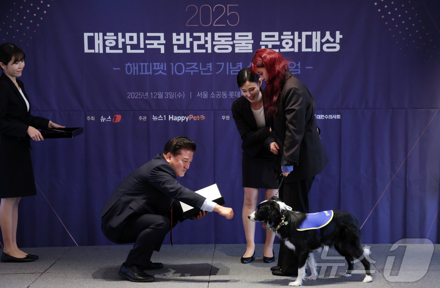 본문 이미지 - 3일 서울 중구 롯데호텔에서 열린 2025 대한민국 반려동물 문화대상에서 김재영 심사위원장이 뉴스1 대표이사상&#40;공로상&#41;을 청각장애인 보조견 도도와 구혜진 보호자에게 전달하고 있다. 2025.12.3/뉴스1 ⓒ News1 김명섭 기자