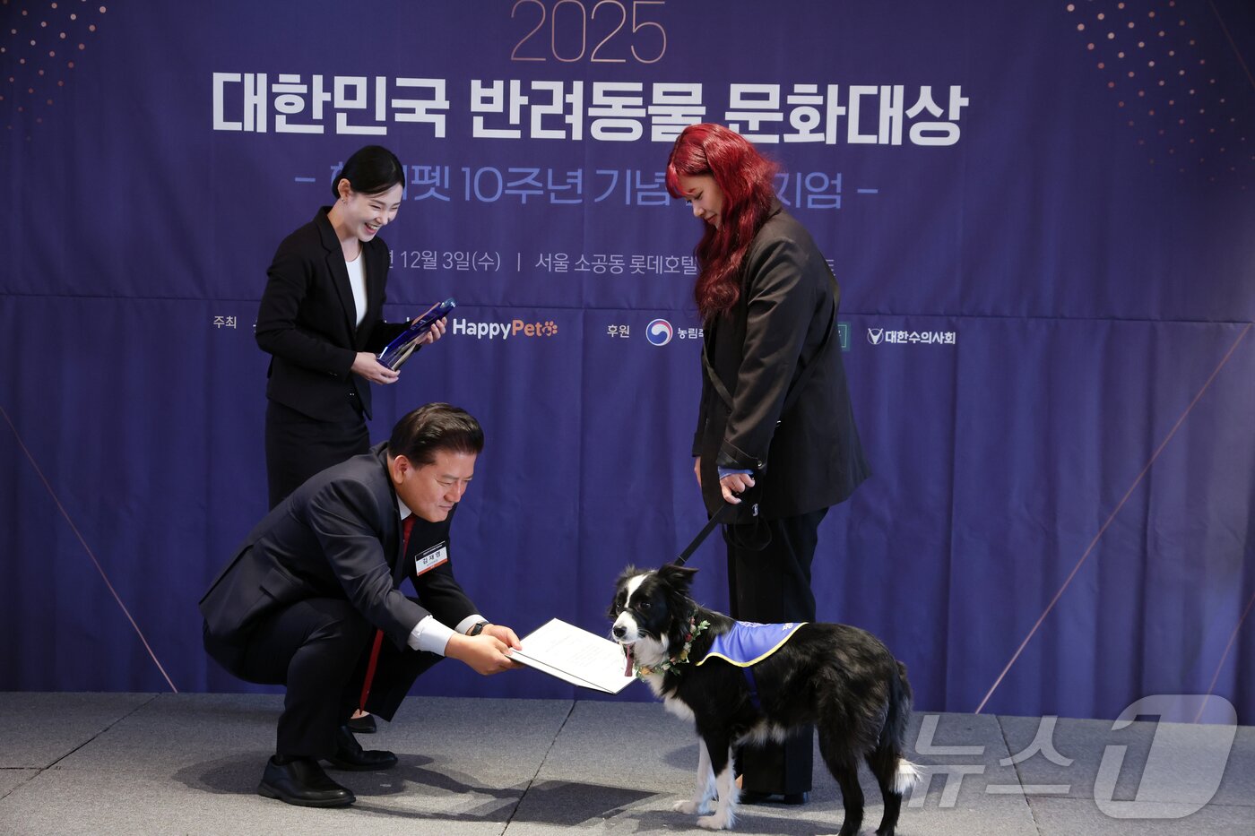 본문 이미지 - 3일 서울 중구 롯데호텔에서 열린 2025대한민국 반려동물 문화대상에서 김재영 심사위원장이 뉴스1 대표이사상(공로상)을 청각장애인 보조견 도도와 보호자에게 전달하고 있다. 2025.12.3/뉴스1 ⓒ News1 김명섭 기자