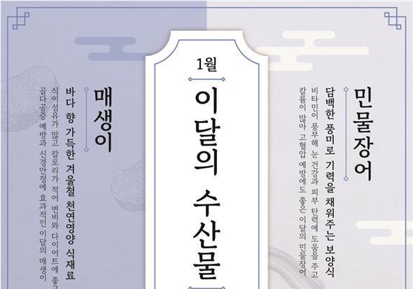 바다 향 가득 '매생이'·기력 충전 '민물장어'…1월 이달의 수산물로 선정
