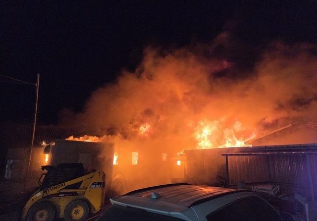 김해 돈사 화재로 돼지 1880마리 폐사(종합)