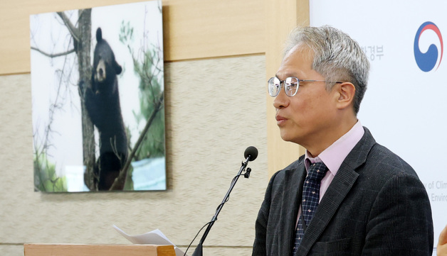 40년간 이어진 곰 사육 및 웅담 채취 전면 금지 된다!