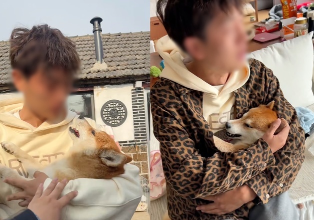 독살당한 시바견 끌어안고 카메라 켠 부부…"돈벌이 그만" 비판 봇물