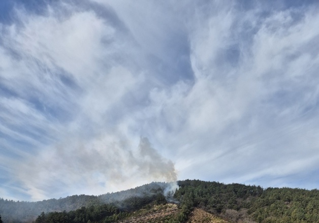 전남 장흥 야산 화재 1시간12분 만에 진화