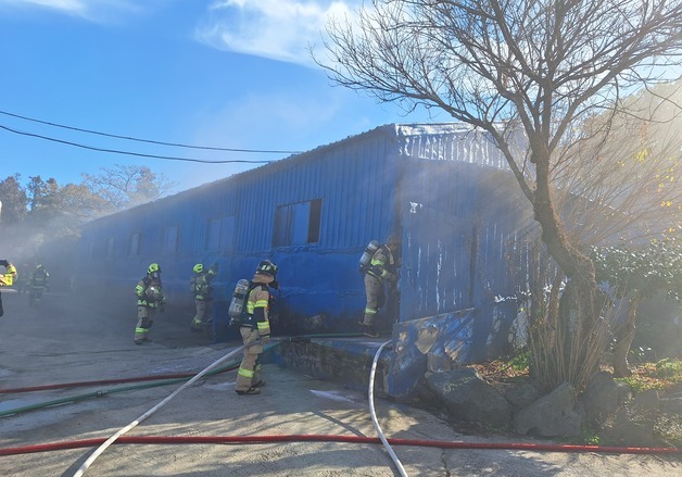 제주 양돈장 화재로 돼지 12마리 피해…30분 만에 완진