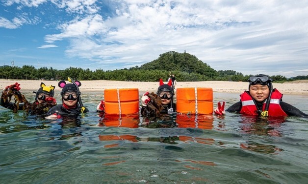 경북교육청, 초등 교육과정 공모…"정책 고도화"
