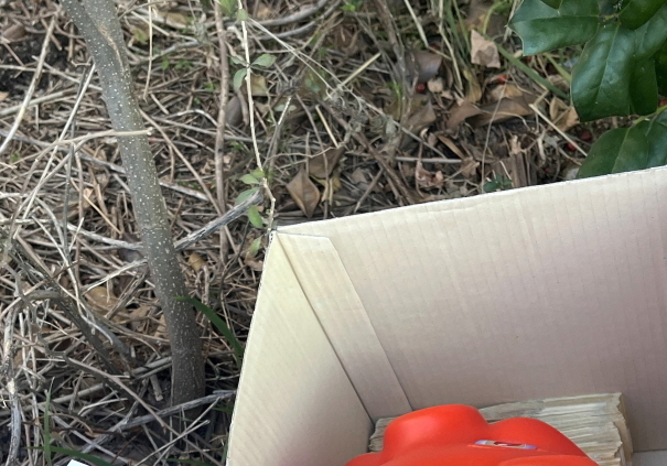 '전주 노송동 얼굴 없는 천사' 올해에도 왔다…"사랑과 희망 전달"