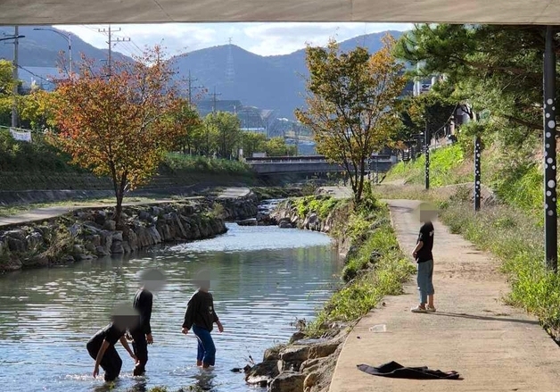 부산 강서구 "지사천 물고기 폐사 원인, 공장 폐수 때문 아냐"
