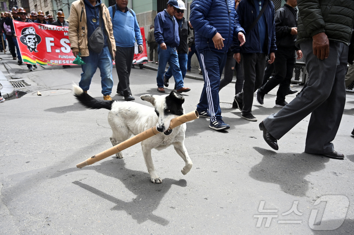 (라파스 로이터=뉴스1) 이정환 기자 = 29일(현지시간) 볼리비아 라파스에서  볼리비아 중앙노동조합(COB)과 다른 사회단체 소속 광부들이 로드리고 파스 대통령의 연료보조금 법령 …