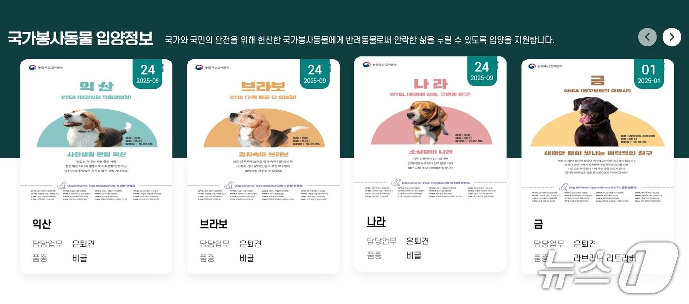 본문 이미지 - 국가동물보호정보시스템 홈페이지 갈무리 ⓒ 뉴스1