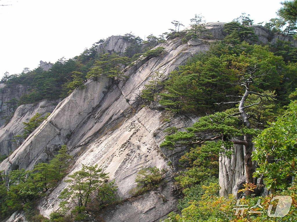 본문 이미지 - 마역봉.(괴산군 제공. 재판매 및 DB금지)/뉴스1
