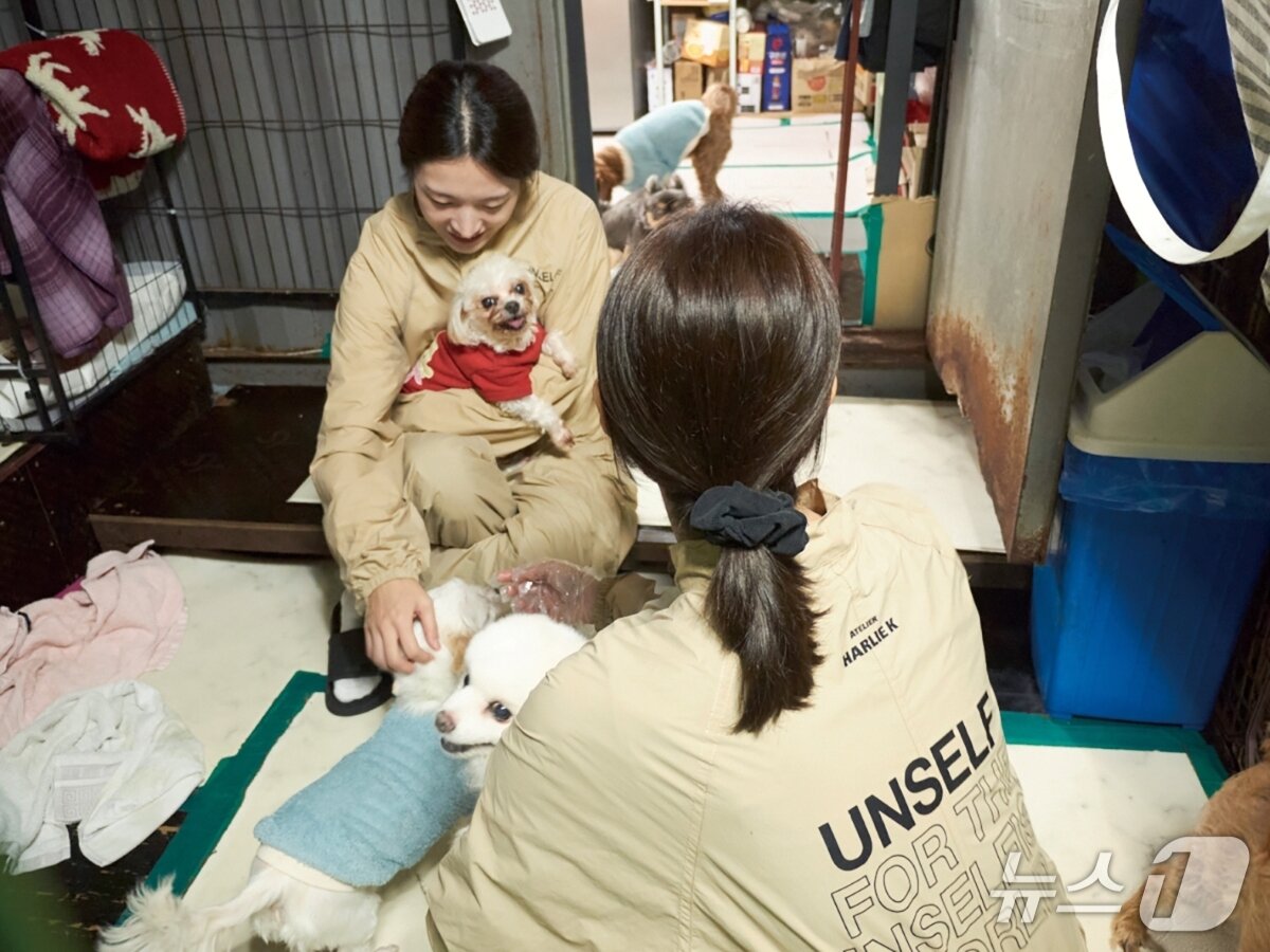 본문 이미지 - 2025 언셀프 연계 유기동물 보호소 봉사활동 현장(후지필름일렉트로닉이미징코리아 제공)