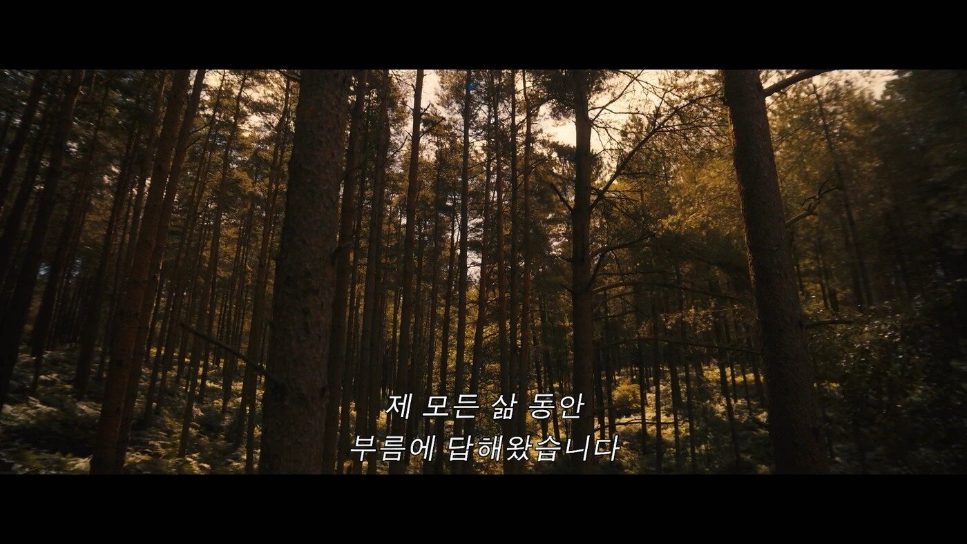 본문 이미지 - '어벤져스: 둠스데이' '토르' 예고편