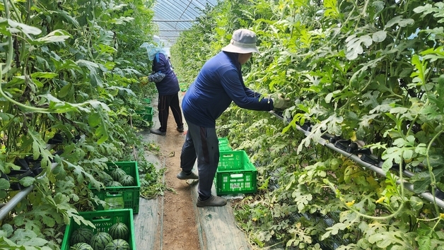 진천군, 기술보급 블렌딩 협력 모델 국비 공모사업 선정