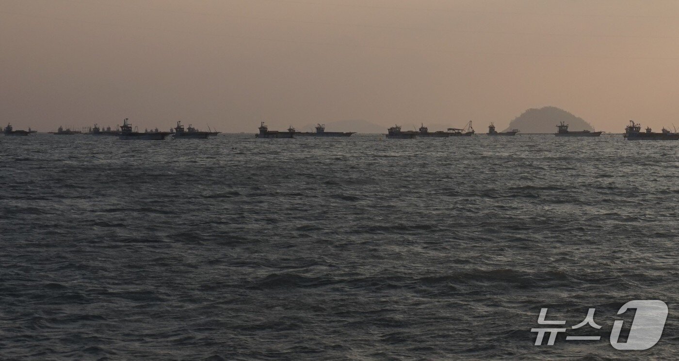 본문 이미지 - 금호도 앞바다의 김 양식 배들이 수평선을 가득 채우고 있다. 2026.1.2뉴스1 ⓒ News1 조영석 기자