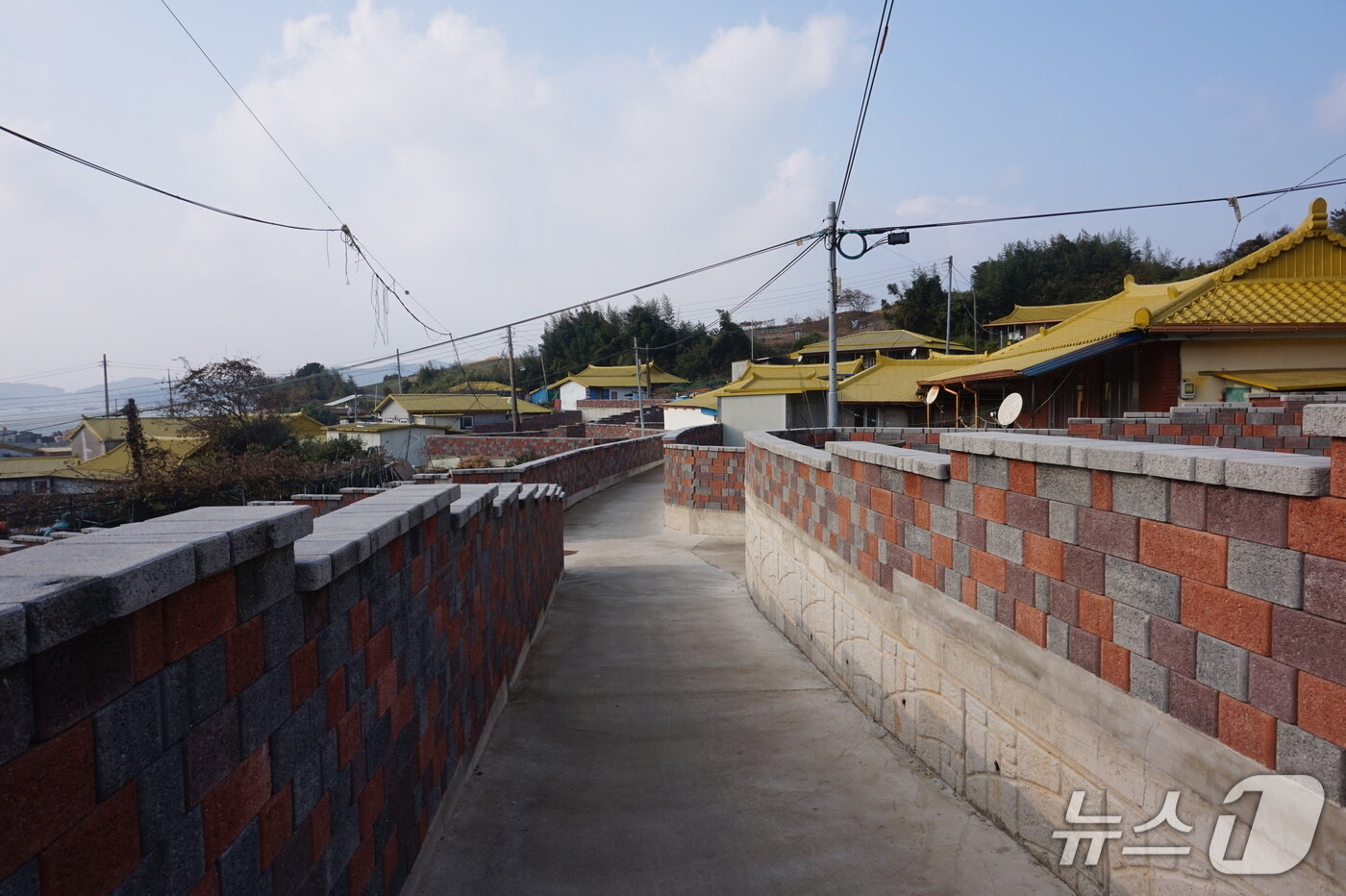 본문 이미지 - 깔끔하게 정비된 금호마을 안길. 2026.1.2뉴스1 ⓒ News1 조영석 기자