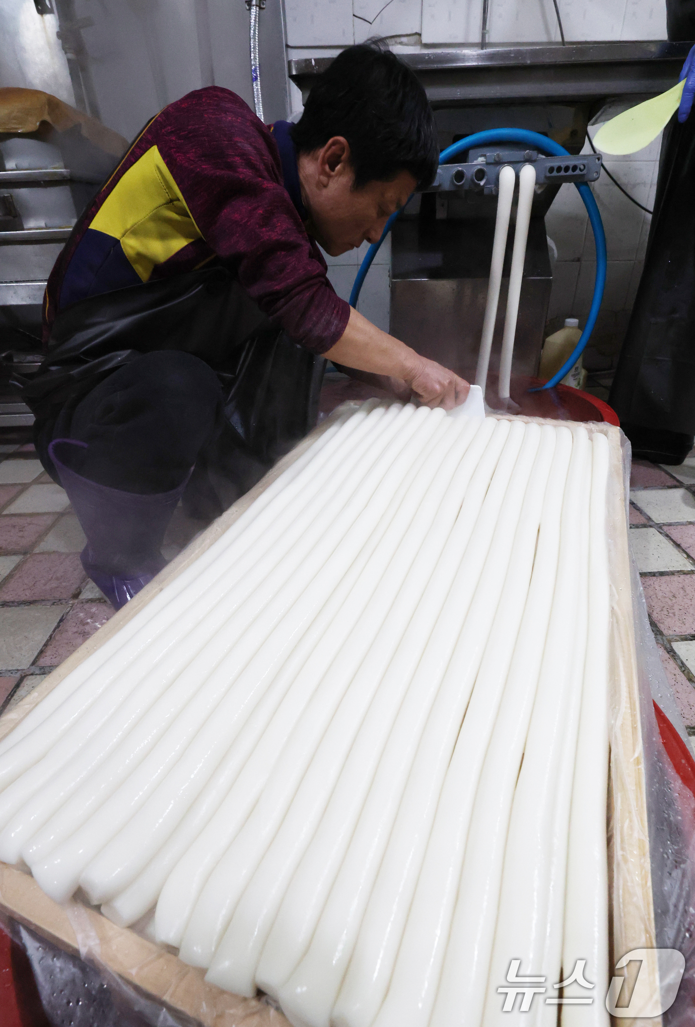 (수원=뉴스1) 김영운 기자 = 2026년 병오년(丙午年)을 하루 앞둔 31일 경기 수원시 팔달구 못골시장의 한 떡집에서 상인이 가래떡을 뽑고 있다. 2025.12.31/뉴스1